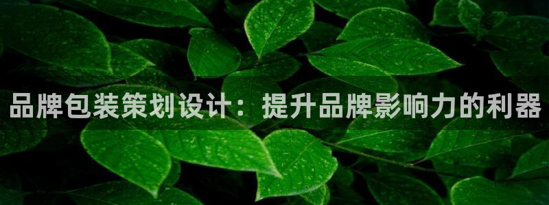 美高梅mgm1888公司官网